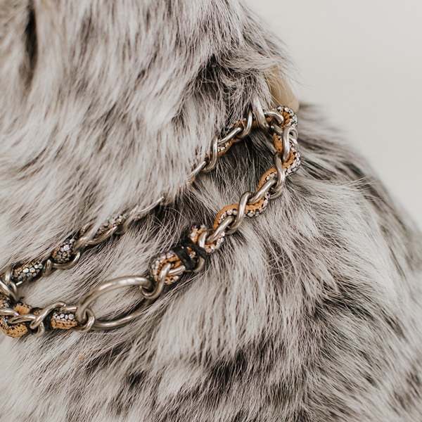 Dog Collar Diva Image 1