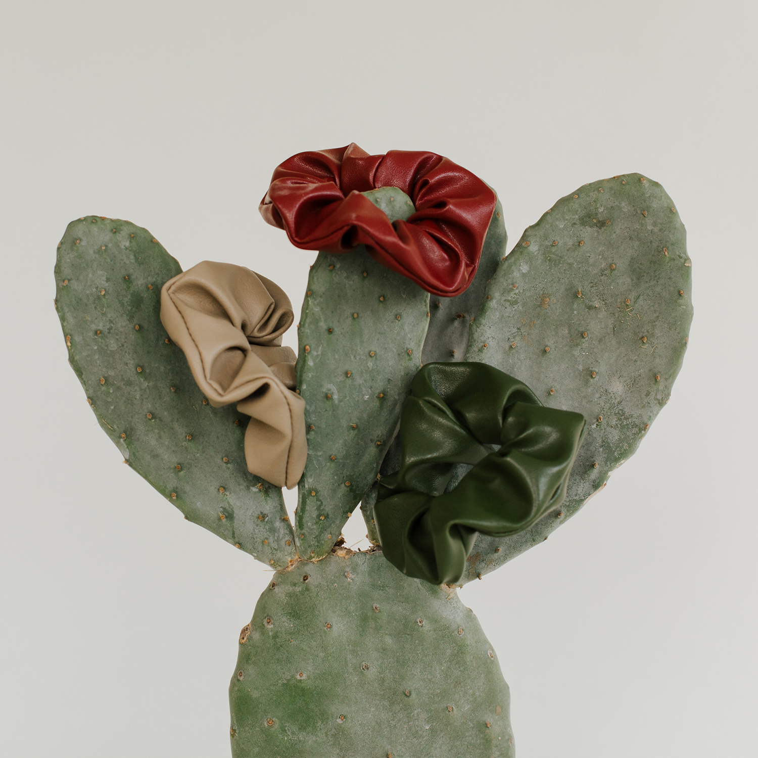 Naturally Beautiful – The Cactus Leather Hair Tie