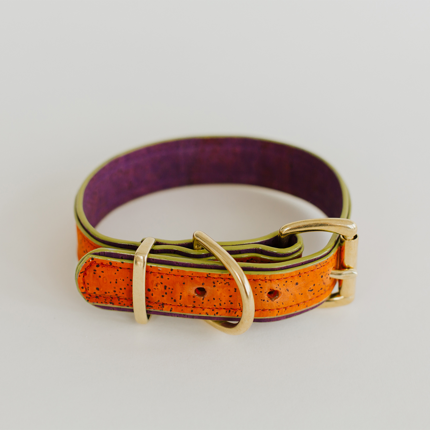 Dog Collar Rusty
