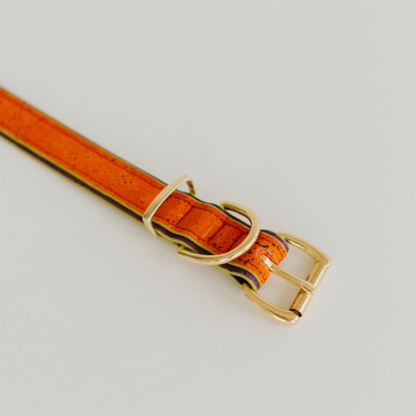 Hundehalsband Rusty Image 1